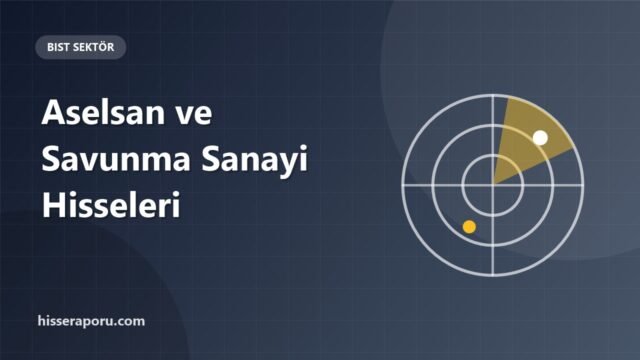 Aselsan ve Savunma Sanayi Hisseleri Nasıl İncelenir? - hisseraporu.com görseli