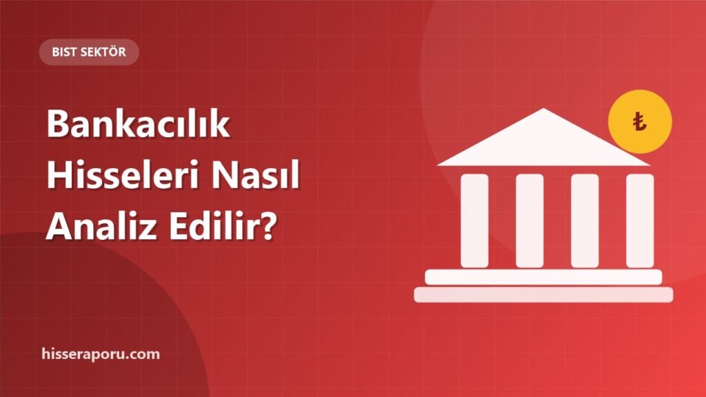 Bankacılık Sektörü Hisseleri Nasıl Analiz Edilir? - hisseraporu.com görseli