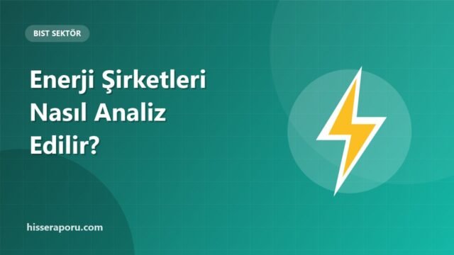 Enerji Şirketleri Hisseleri Nasıl Analiz Edilir? - hisseraporu.com görseli