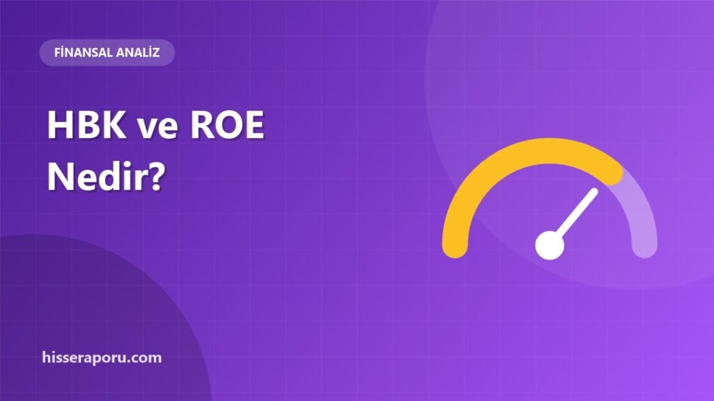 Hisse Başına Kazanç (HBK) ve Özsermaye Kârlılığı (ROE) Nedir? - hisseraporu.com rehber görseli