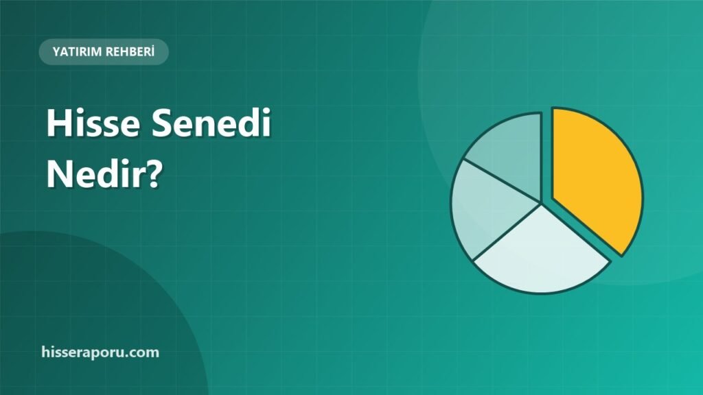 Hisse Senedi Nedir? Nasıl Çalışır, Ne Kazandırır? - hisseraporu.com rehber görseli