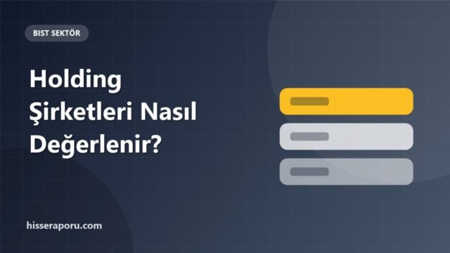 Holding Şirketleri Nasıl Değerlenir? Net Aktif Değer ve Holding İskontosu - hisseraporu.com görseli