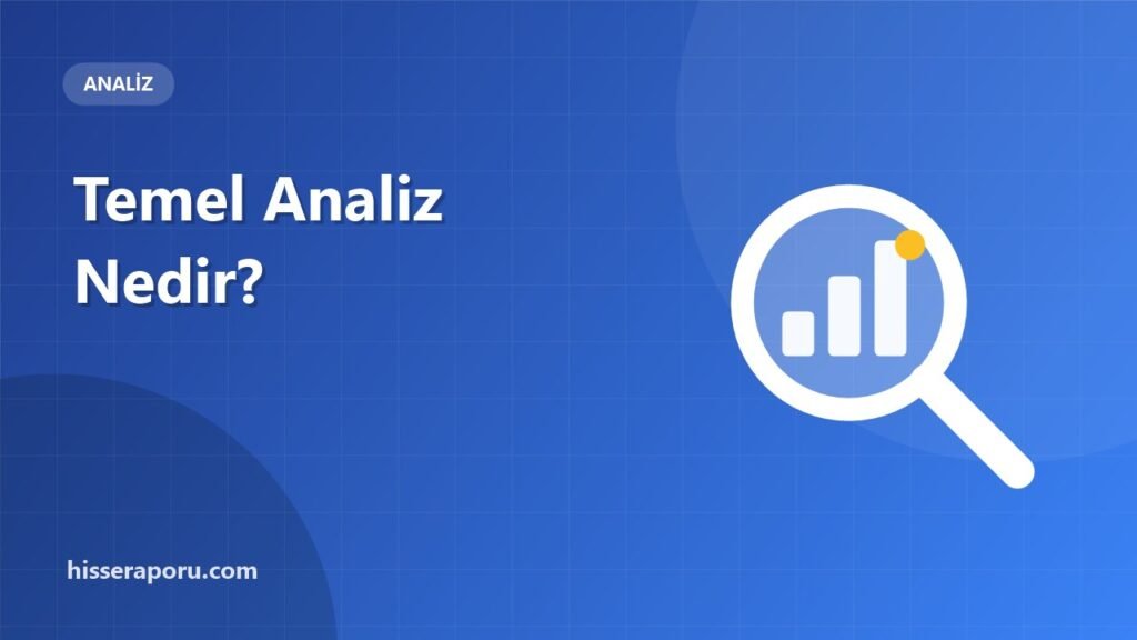 Temel Analiz Nedir? Hisse Değerlemesinde Adımlar - hisseraporu.com rehber görseli