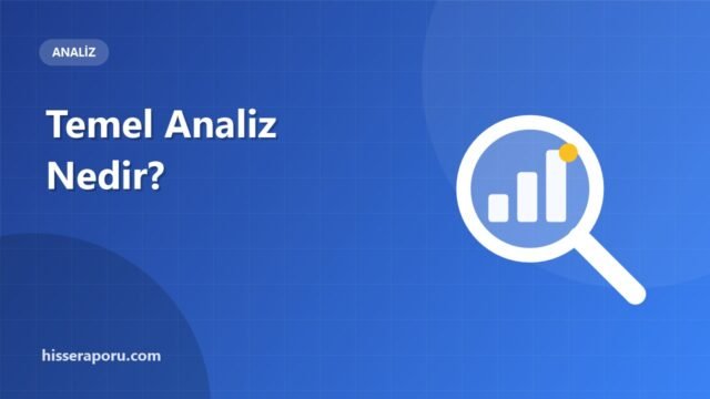 Temel Analiz Nedir? Hisse Değerlemesinde Adımlar - hisseraporu.com rehber görseli