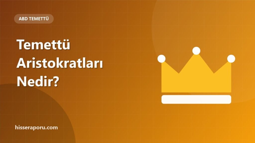 Temettü Aristokratları Nedir? Düzenli Artıran ABD Şirketleri - hisseraporu.com görseli